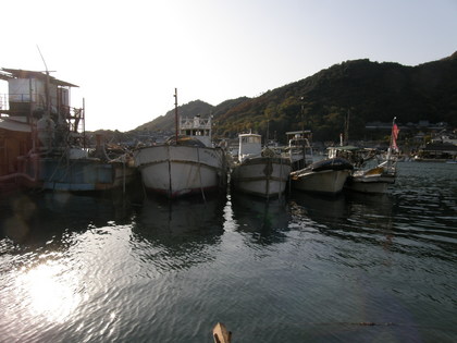 @tomo-9.JPG