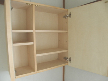 wallcabinet-open.jpg